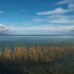 Pearl * Balatonboglár