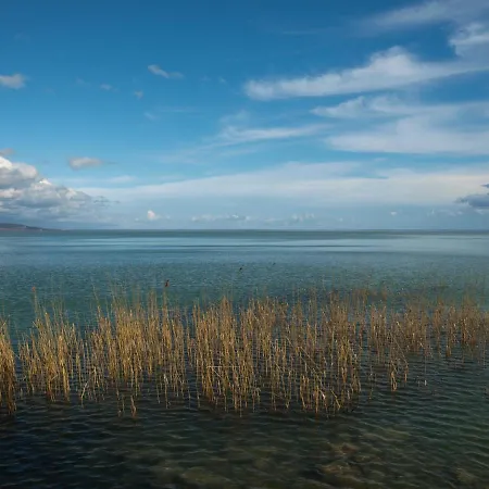 Pearl * Balatonboglár