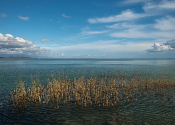 Pearl * Balatonboglár